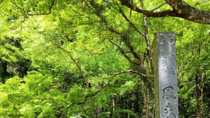 鳳来寺山・瑠璃山