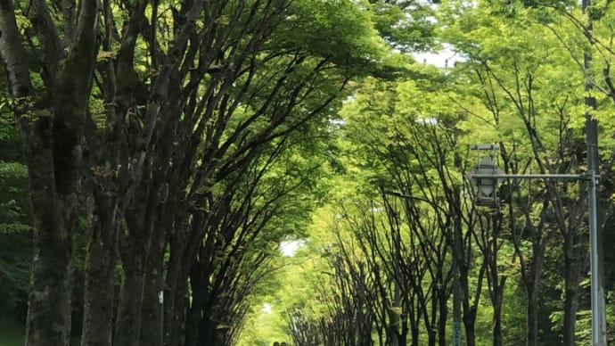右腕が上がらない! そのわけは?