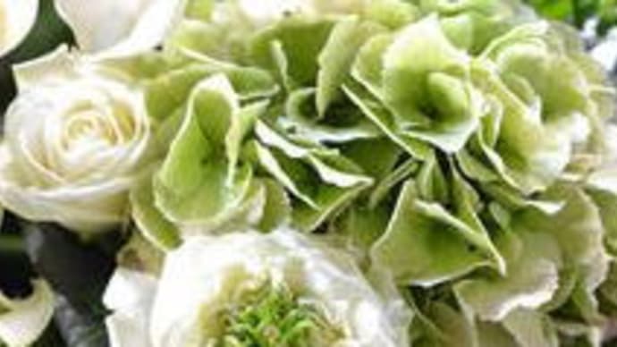 お誕生日お祝い白×緑のお花