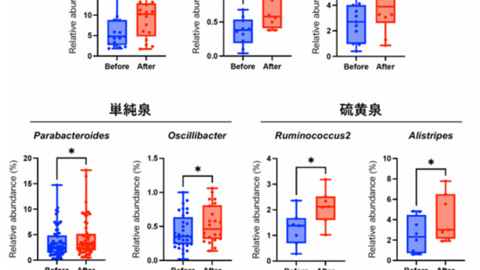 温泉つかると腸内細菌叢が整う?