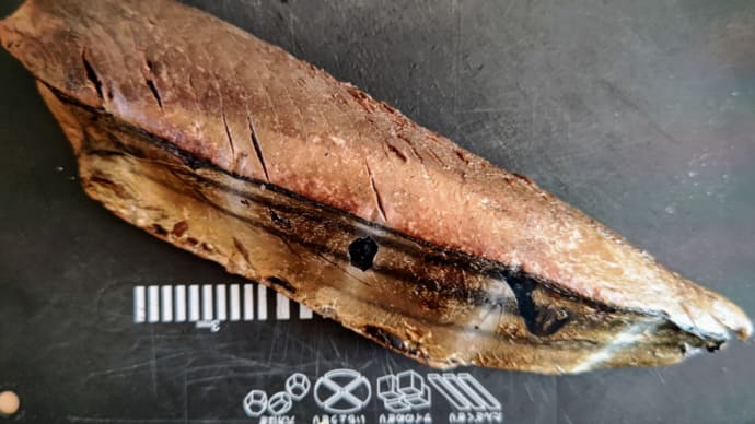 鰹の藁焼き❗薫りが体に染付く旨さや(笑)・・・鮮魚の和田(高知)