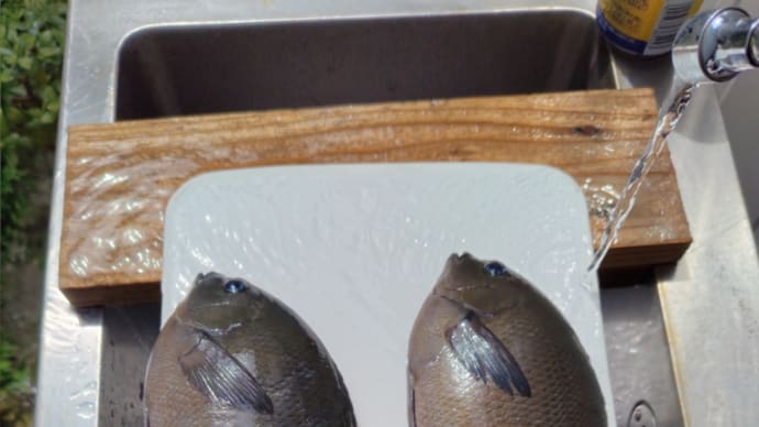 大物を求めて