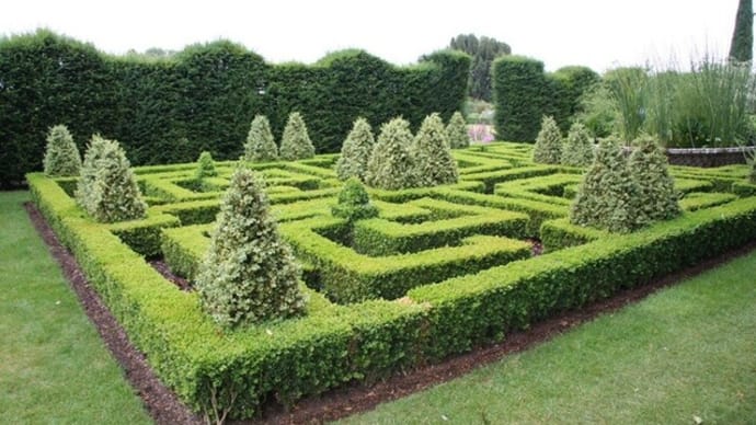 トピアリー庭園とBoxwood