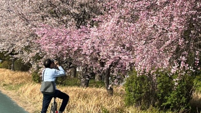 街角の花たち(牛田新町) 7-4/9