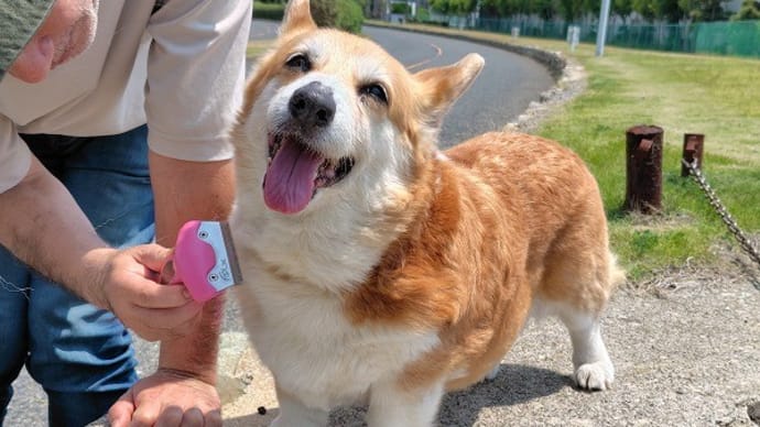 ベストショット