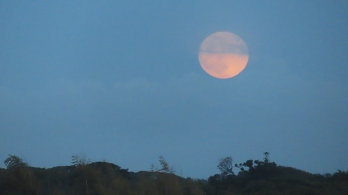 夕焼けもいいけれど、月も素晴らしい~