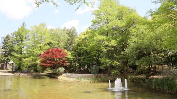 久屋大通庭園 「フラリエ」・ 「シャクナゲ」&「姫リンゴ」