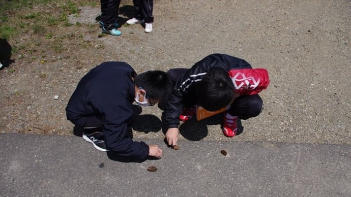 分散登校3日目 体を使って