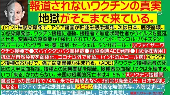 フライヤー:報道されないワクチンの真実。地獄がそこまで来ている。