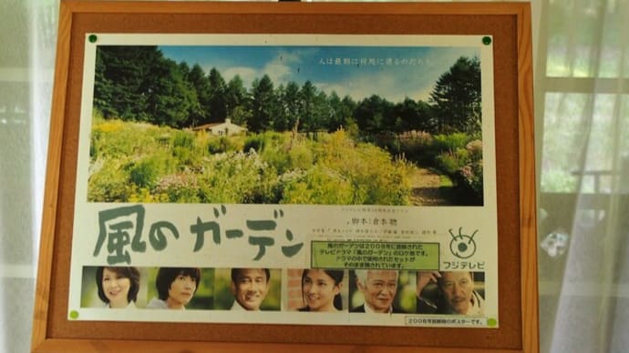 初めての北海道旅♪⑥~3日目後半*富良野へ~