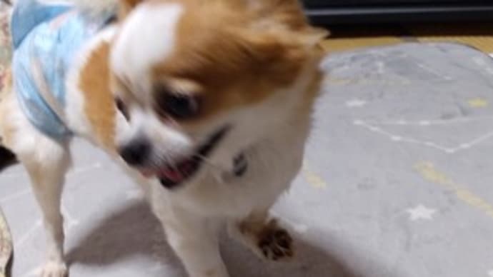 夜中の雨と雷