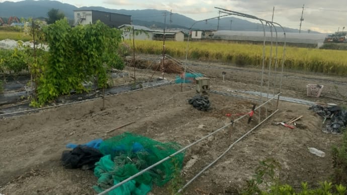 畑184 / お預けの秋