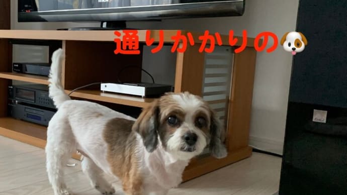 残さんといてなー。