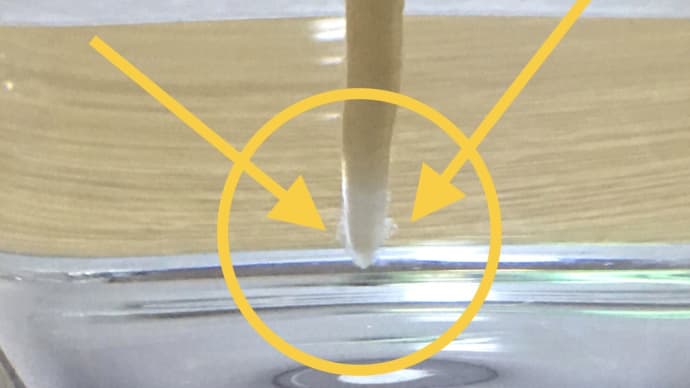 種からアボカド水耕栽培の「ひげ根」が→消滅?(o^^o)