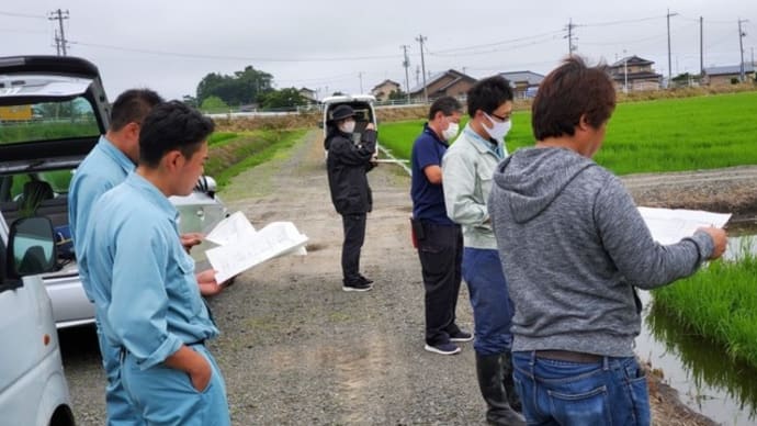 「水稲直播栽培勉強会」を開催し,追肥について検討しました