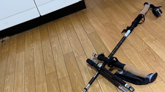 トレポ⭐︎
