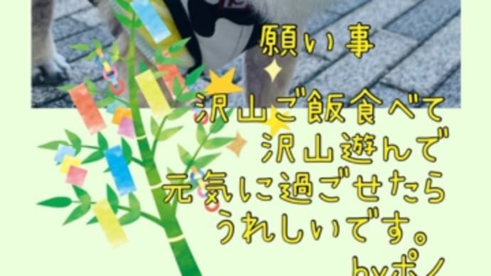 七夕 7月もよろしくお願いします。