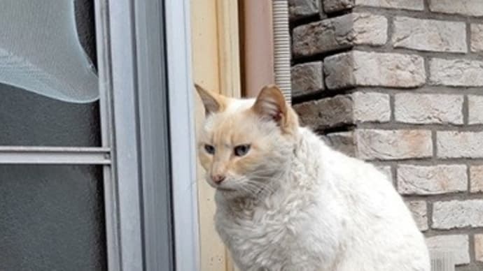 試験(審査)に落ちたら、みんなが傷口に塩をグリグリ塗ったって話