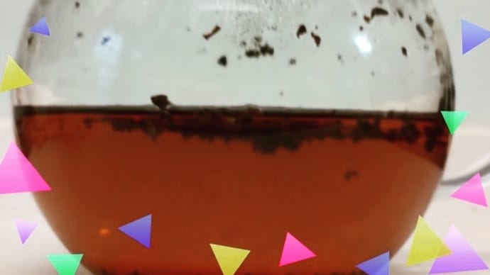 紅茶☕️で節約✨ダイエット🈲🍔⚠️