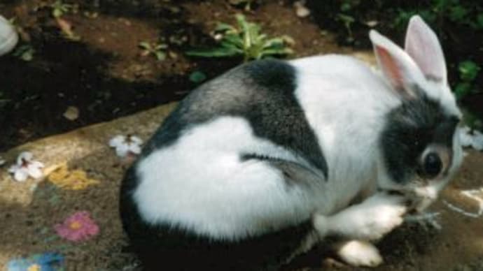 失くし物…；；