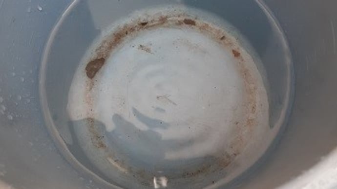 アジの開き・・・
