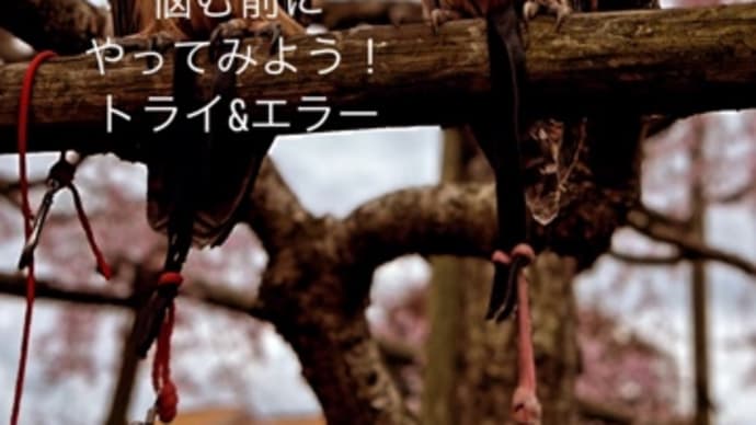 〜マヤ暦 K54白い魔法使い・赤い空歩く人・音2〜 K58「赤い空歩く人」の彩夏ちゃんに会いに行く
