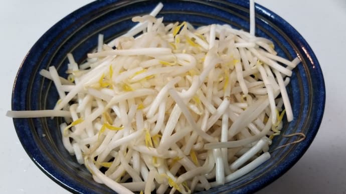 もやし比べてみた!ツー!と、魯肉飯もどき