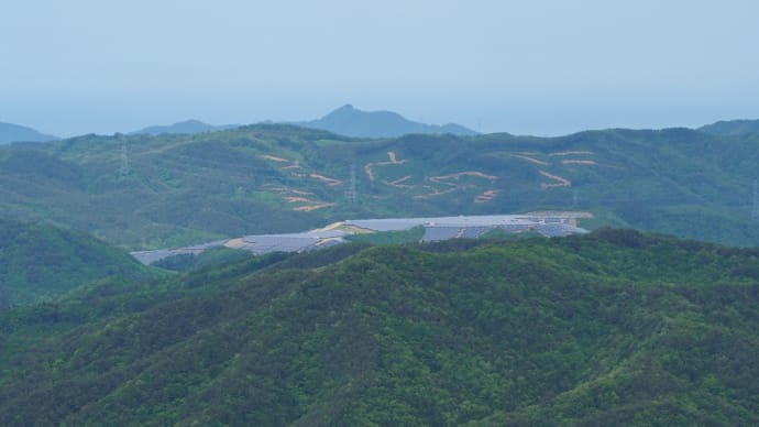 120年に一度?...笹の花がほぼ全山で咲き誇る霊山にて(2022.5.15)#2 霊山最高峰の東物見岩、蟻の戸渡りを経て...下山