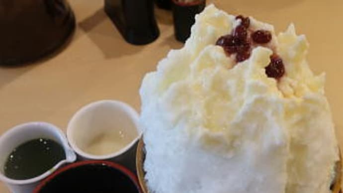 ぶっかけふるいちでかき氷のみ満喫する