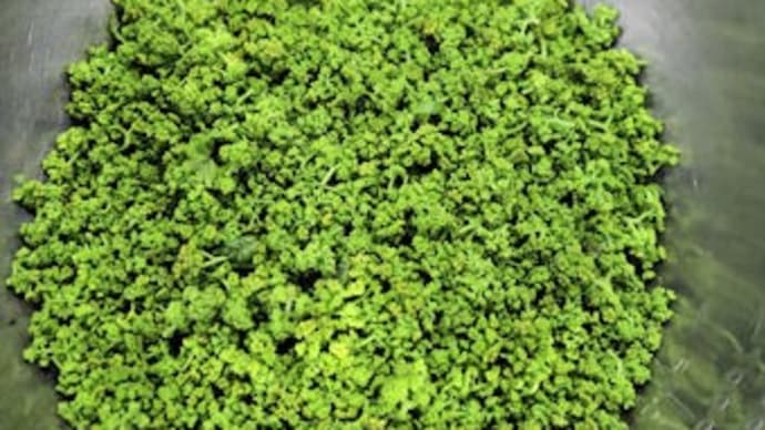 花山椒