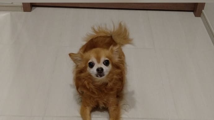 ルーティン