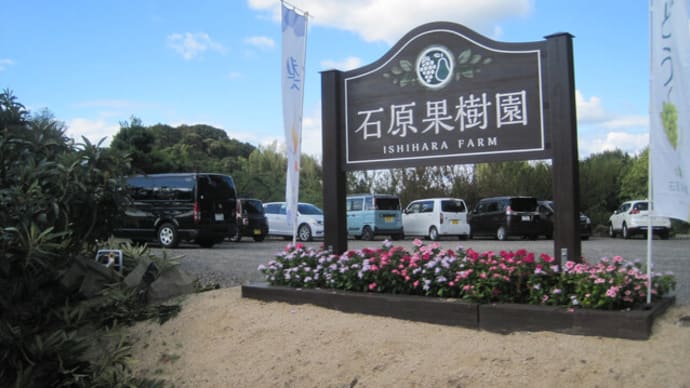 石原果樹園と吉備津彦神社と…