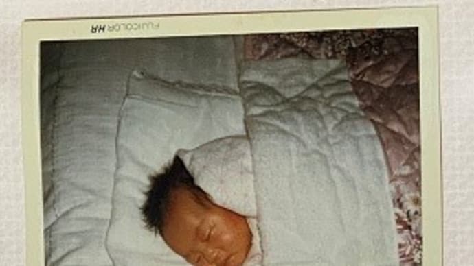 今日は「双子の日」ですって!