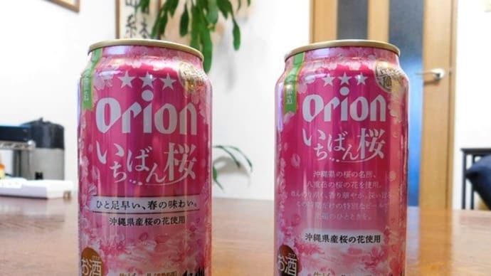 #8937 いちばん桜🍺