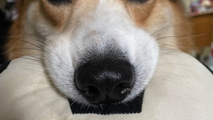 もりだくさん