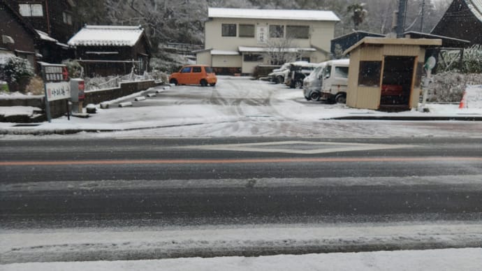 雪が積もった