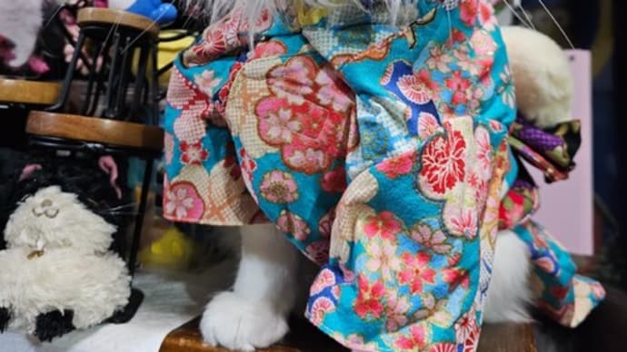 あら?ミコ太った?