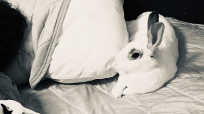こたろうううう♡