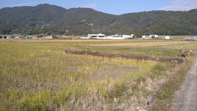 てくてくお遍路さん・はるのの湯~第三十五番札所~土佐市役所