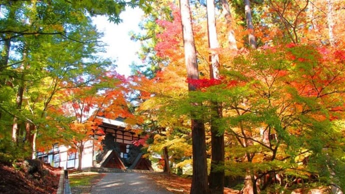 信州・長野 昌禅寺(しょうぜんじ)の紅葉を・・・・・・!