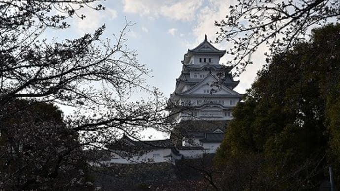 今日の姫路城 (2017.4.3) 