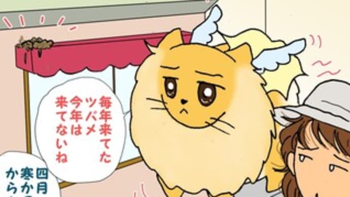 今年は遅かったのね