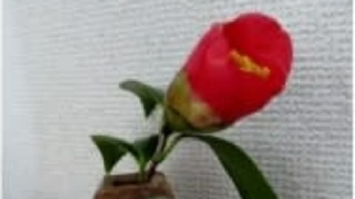 これがあるから生きていける