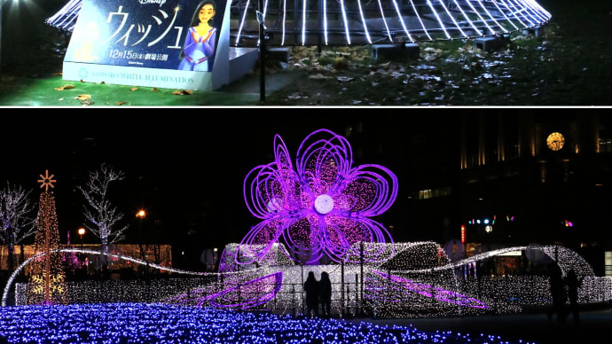 今年の大通公園、冬のイルミネーション7-1
