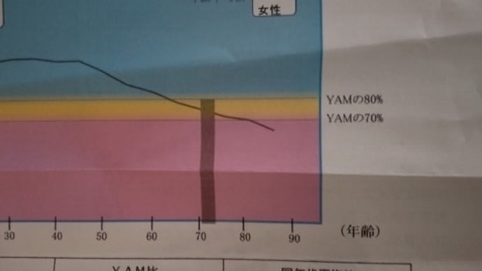 骨密度を測る＆股関節のレントゲン＆明日何着よう、の着物コーディネイト