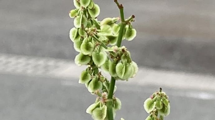 4月28日