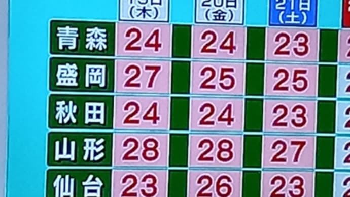 ことばの日??