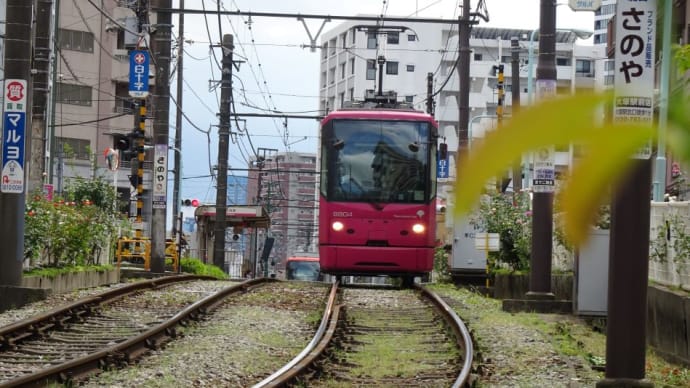 東京で唯一残る都電荒川線（三ノ輪～早稲田間約12.2ｋｍ・30停留場）、地域に愛される電車！