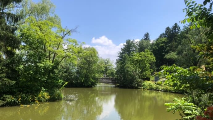 野付牛公園でバードウオッチング