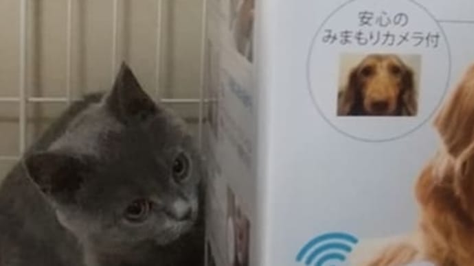 えさやり機とごろ